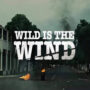 Netflix ‘Wild is the Wind’ investigates a murder mystery