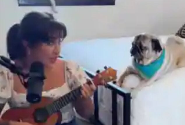 Woman sings Bruno Mars’ Just the Way You Are to her pet puppy