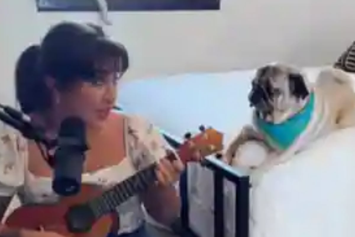 Woman sings Bruno Mars' Just the Way You Are to her pet puppy