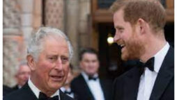 Harry intends to "coup d'etat" Charles before becoming king