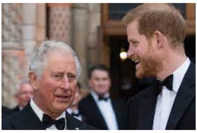 Harry intends to "coup d'etat" Charles before becoming king