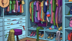 Optical Illusion: Only 2% can find cat hiding in closet in 15 seconds!
