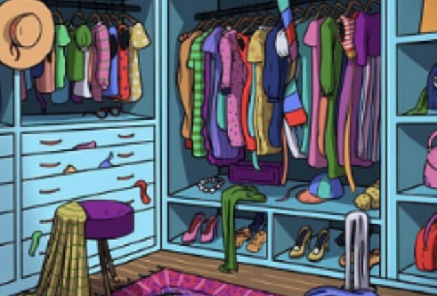 Optical Illusion: Only 2% can find cat hiding in closet in 15 seconds!