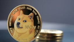 Doge Price