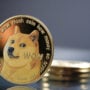 Doge Price Prediction: Today’s Dogecoin Price, 1st November 2022
