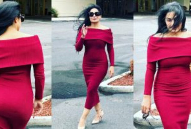 WATCH: Meera flaunts her hourglass figure in latest video 