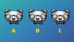 Optical Illusion: Which bear is different in 10 seconds?