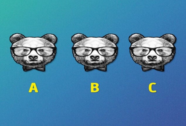 Optical Illusion: Which bear is different in 10 seconds?