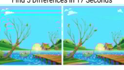 Optical Illusion: 5 Differences in 20 Seconds?