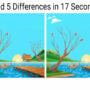 Optical Illusion: 5 Differences in 20 Seconds?