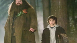 Hagrid