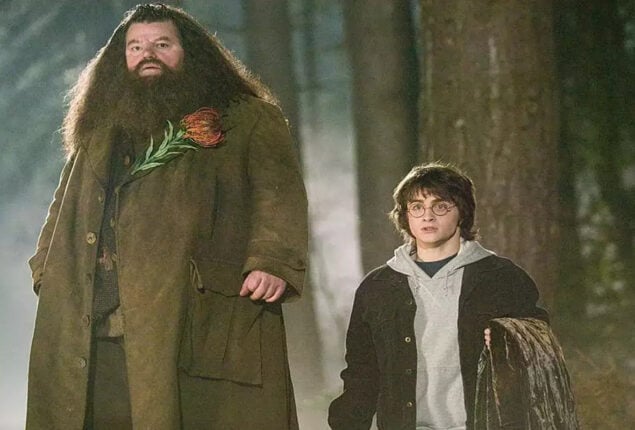 Here’s why J.K. Rowling “can kill Dumbledore but not Hagrid”