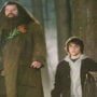 Here’s why J.K. Rowling “can kill Dumbledore but not Hagrid”