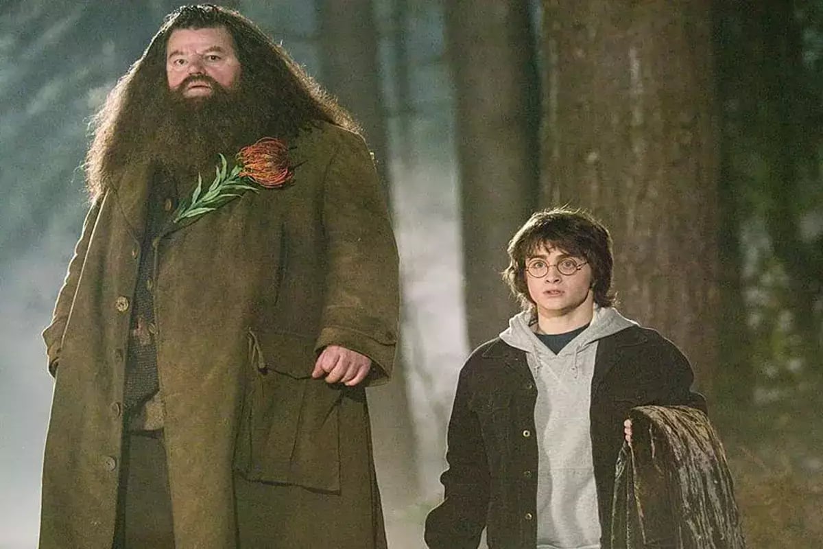 Hagrid