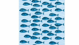 Optical Illusion: Find the school’s dead fish. Stinks!