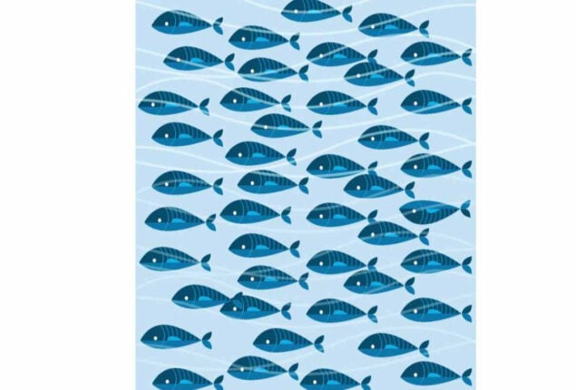 Optical Illusion: Find the school’s dead fish. Stinks!
