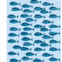 Optical Illusion: Find the school’s dead fish. Stinks!
