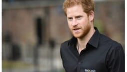 Prince Harry's memoir is about he won’t ever be King