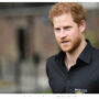 Prince Harry’s memoir is about he won’t ever be King