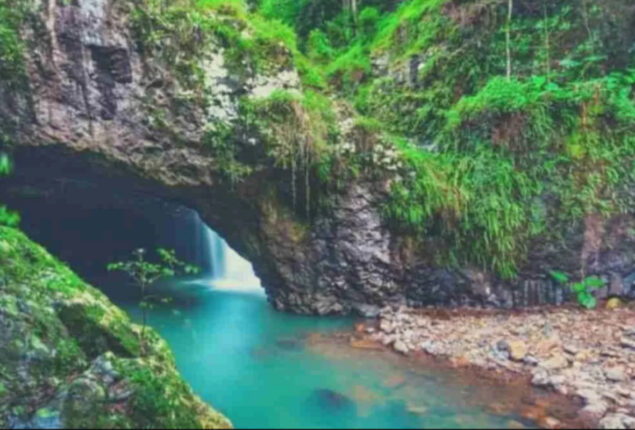 Optical Illusion: Find the ‘Froggie’ in this image