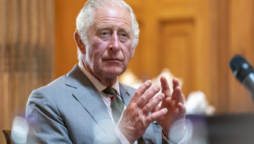 Expert sides with ‘The Crown’, says ‘I would blame Charles’