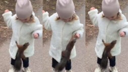 little girl feeds squirrel