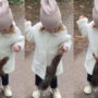 Watch Video: Cute little girl feeds squirrel goes viral