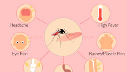 Dengue claims  one more life in Karachi, death toll jumps to 38