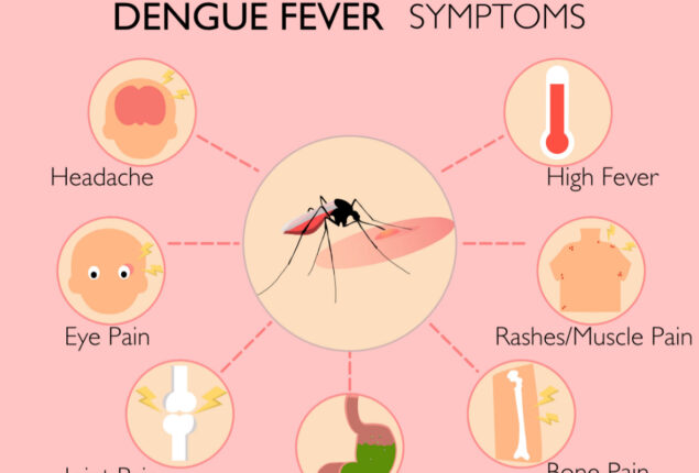 Dengue claims  one more life in Karachi, death toll jumps to 38