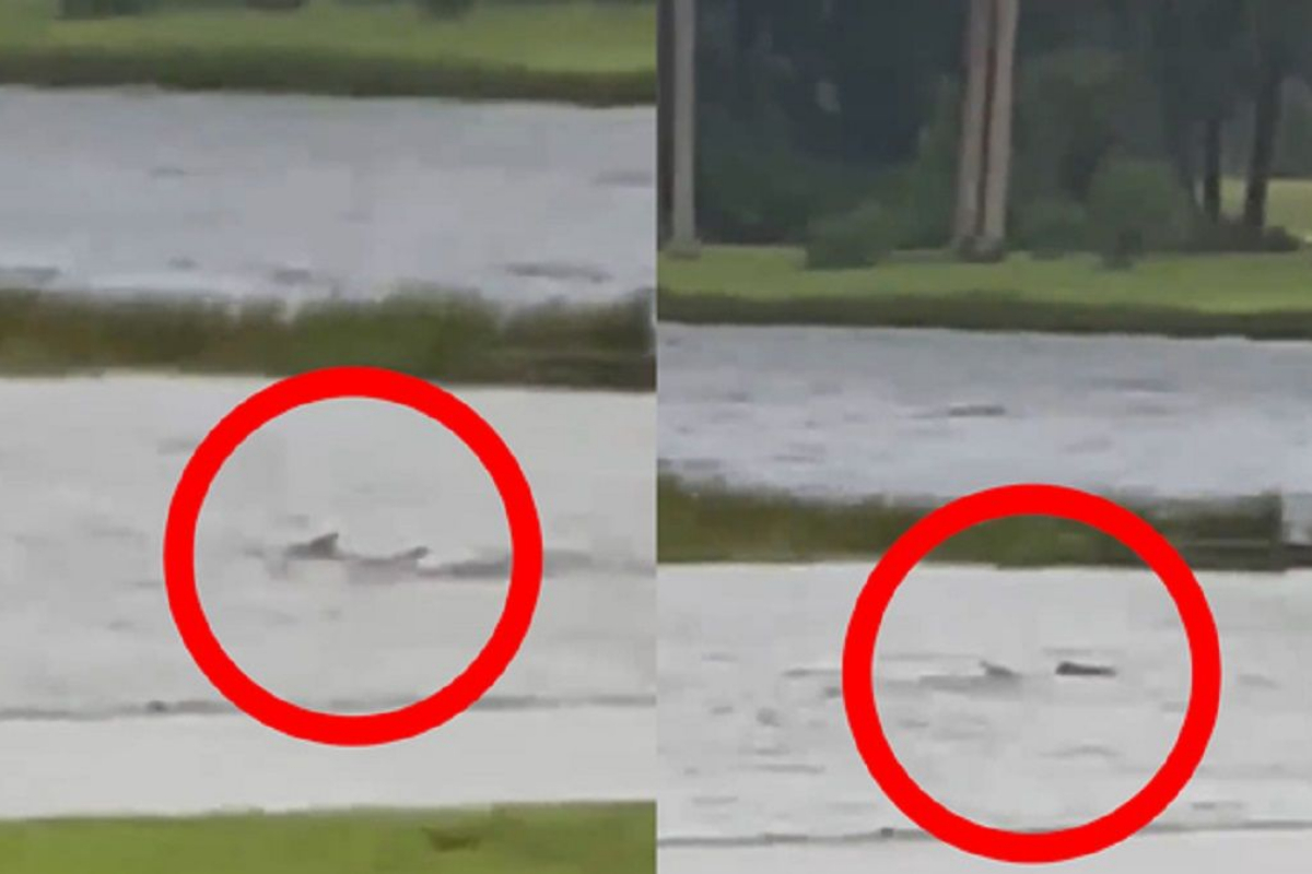 Florida