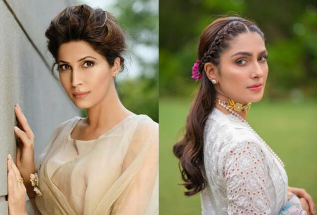 Vaneeza Ahmed taunt Ayeza Khan’s social media following