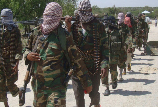 US military claims death of al-Shabaab leader in Somali air attack