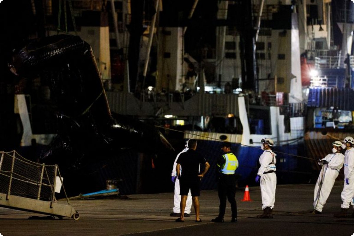 Spain's Canary Islands