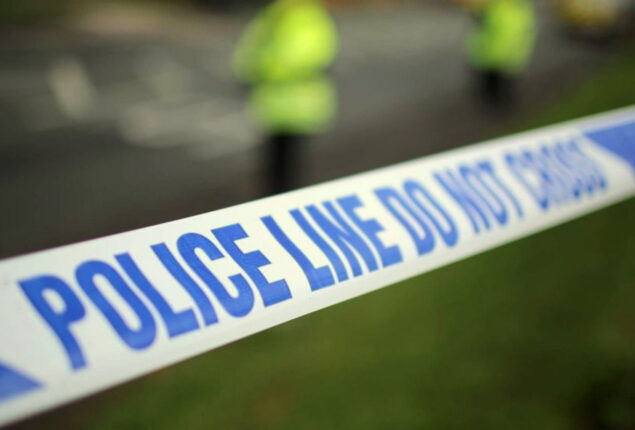 Man detained in Liverpool, after woman mauled to death by dogs