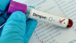 336 more test positive for dengue in Sindh