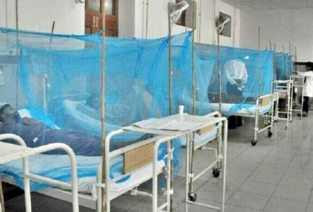 418 new dengue fever cases surface in Sindh