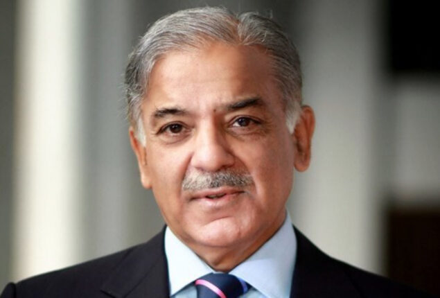 Nation knows who did the conspiracy: PM Shehbaz Sharif