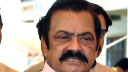 Senator Saifullah Niazi taken into protective custody in PTI foreign funding case