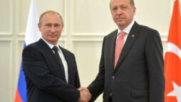 Putin discusses developments in Ukraine with the Turkish president