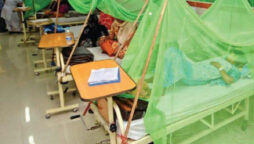 Woman dies of dengue fever in Karachi