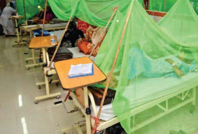 Woman dies of dengue fever in Karachi