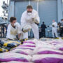 Royal Navy seizes drugs worth £15 million