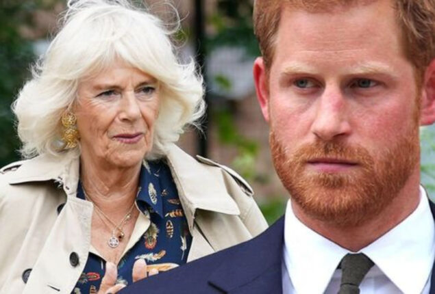 Prince Harry attacks Camilla to protect Meghan Markle