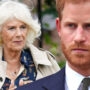 Prince Harry attacks Camilla to protect Meghan Markle