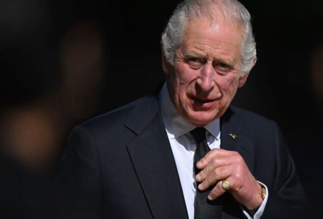 King Charles to backtrack on slimming-down monarchy?