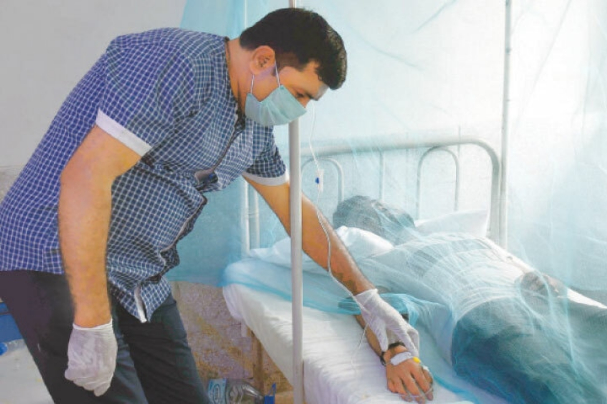 Dengue viral