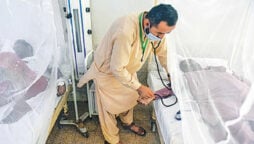 Dengue takes another life in Hyderabad