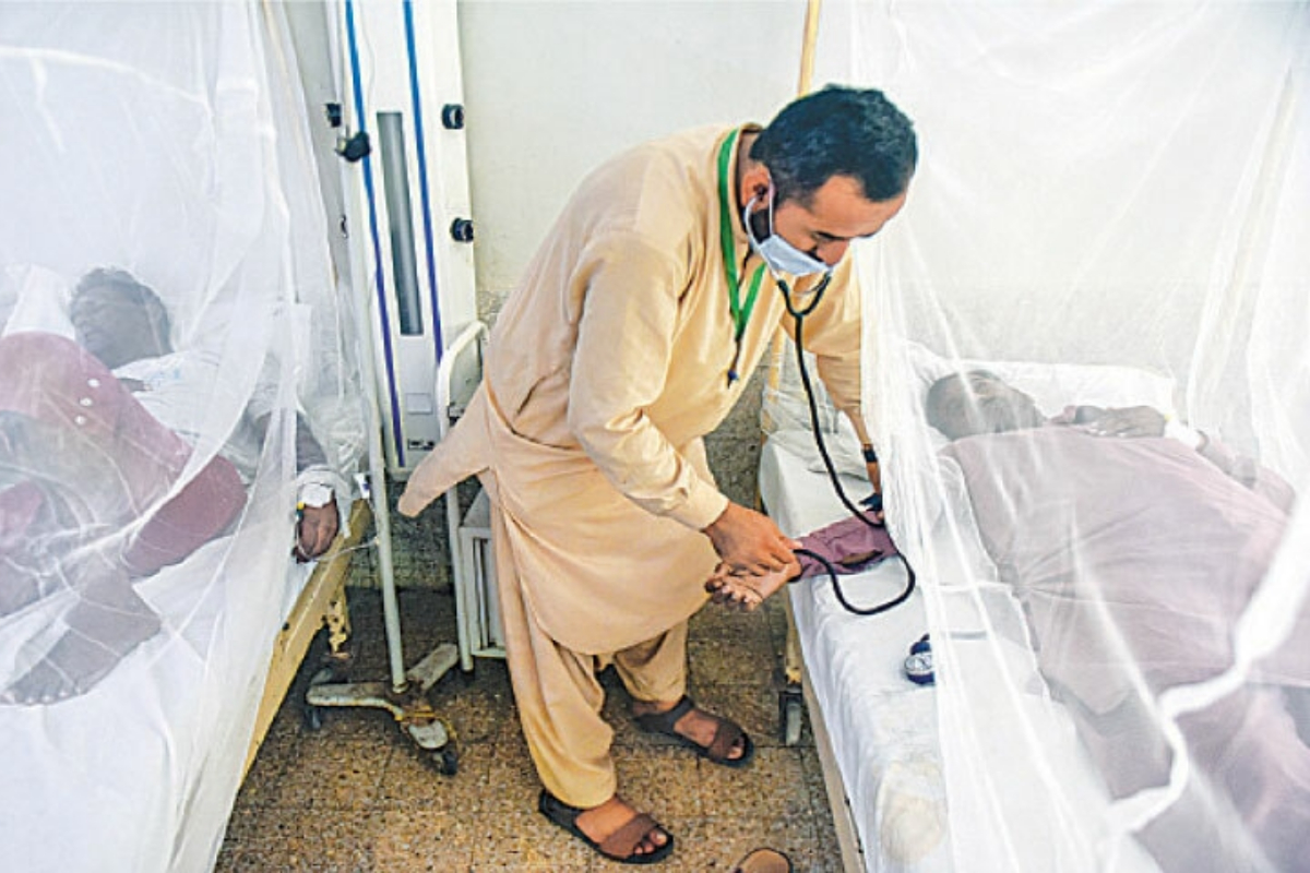 Dengue takes
