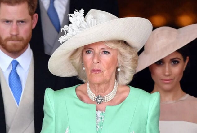 Queen Camilla wishes Prince Harry and Meghan to attend coronation