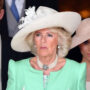 Queen Camilla wishes Prince Harry and Meghan to attend coronation